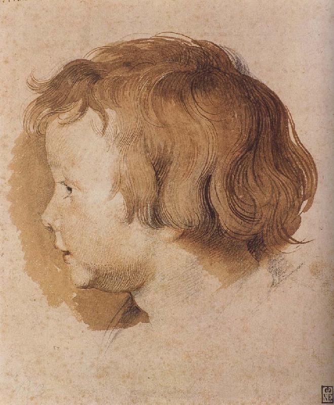 Peter Paul Rubens Portrait of Younger Rubens